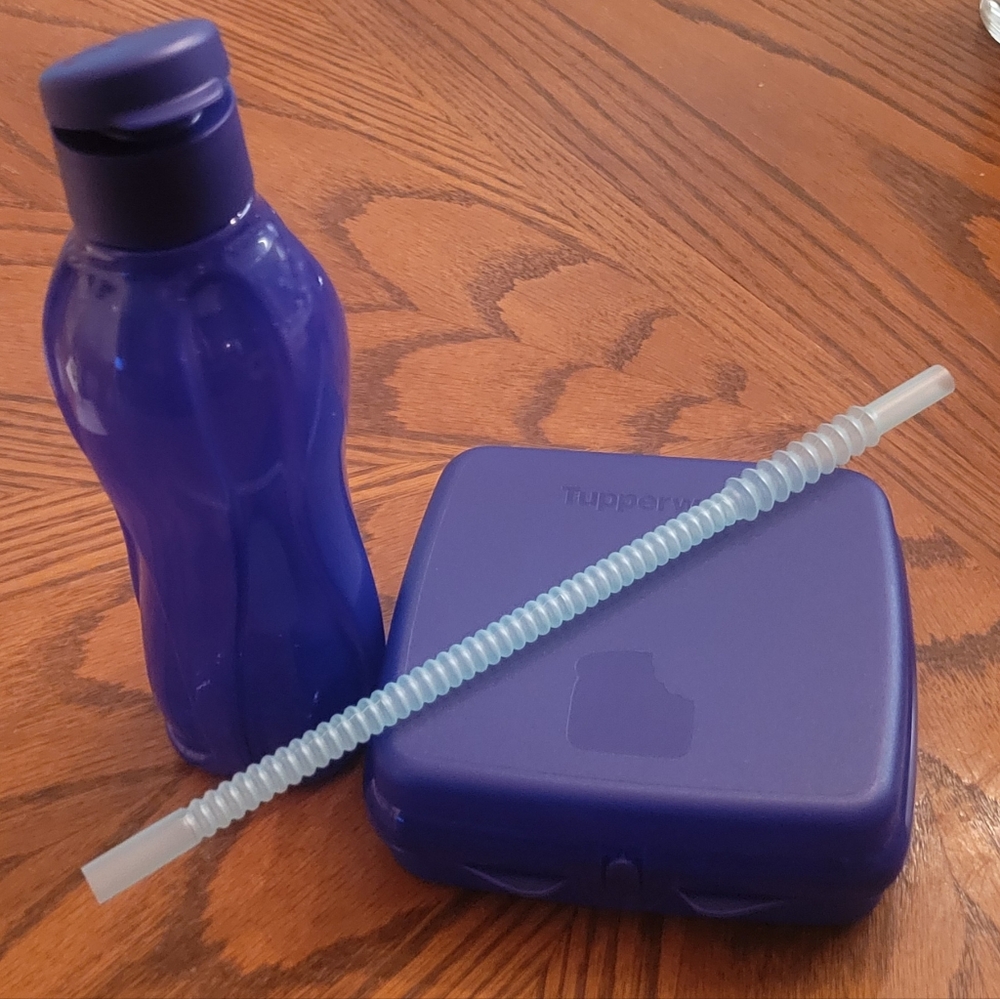 Tupperware Sandwich Keeper Lunch Set